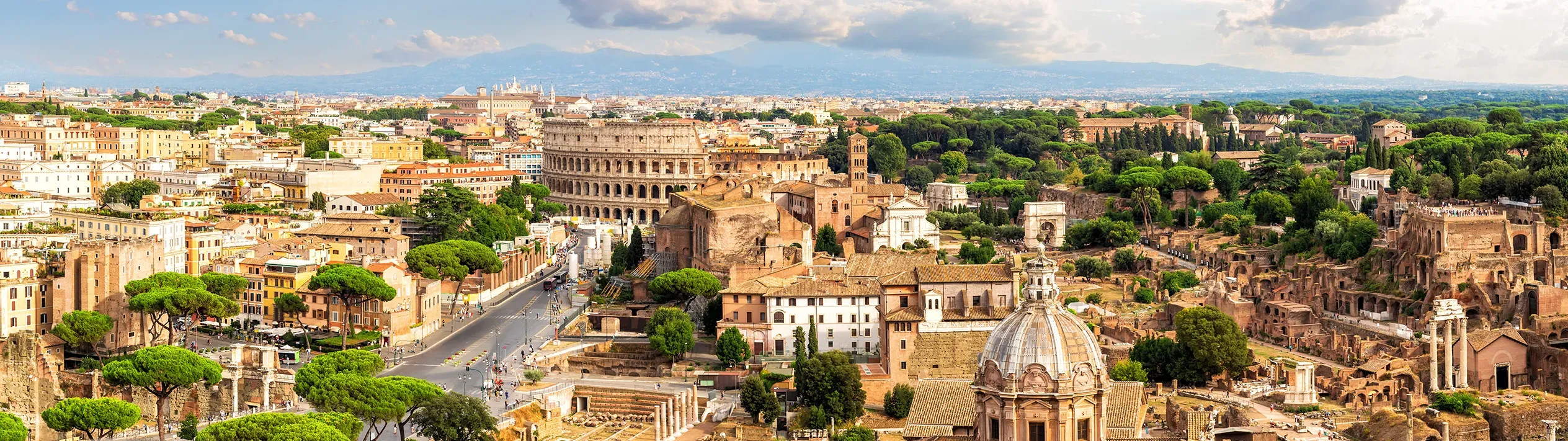 Roma (FCO) panorama