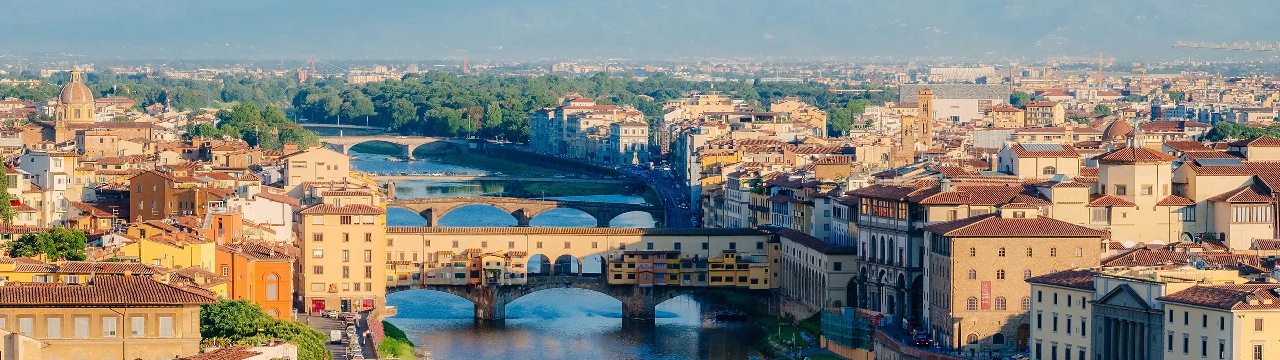 Firenze (FLR) panorama