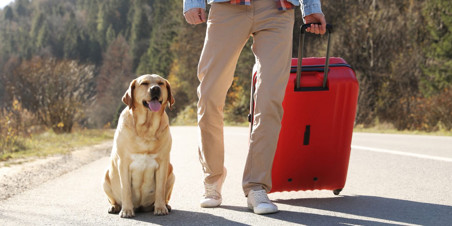 Un passager marchant avec une valise et un chien à ses côtés.
