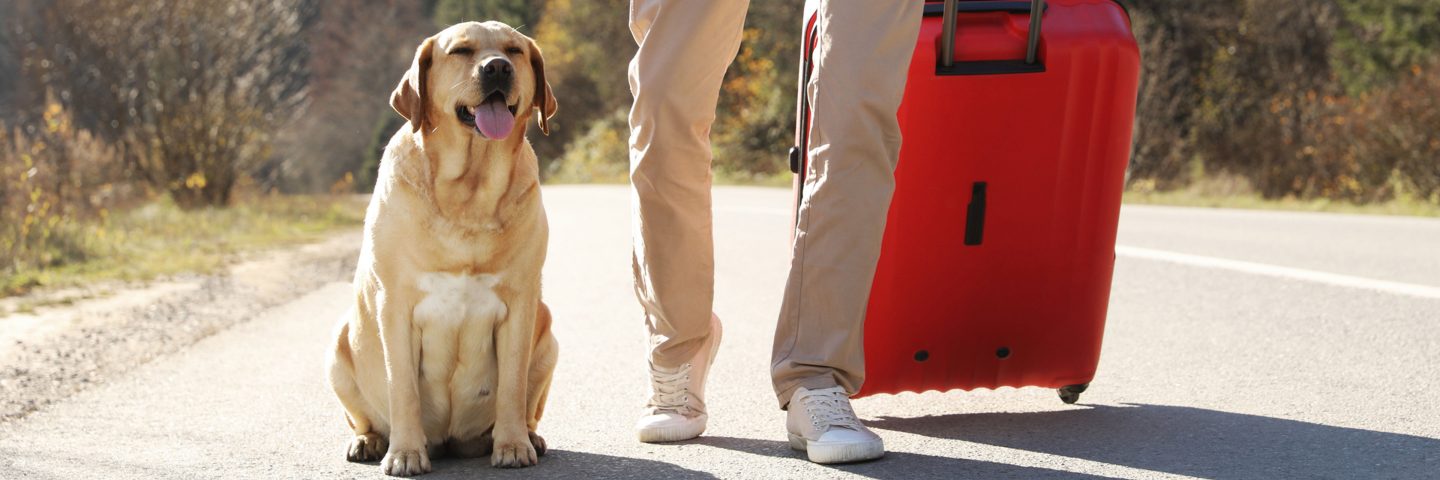 A passenger walking with a suitcase and a dog by his side.