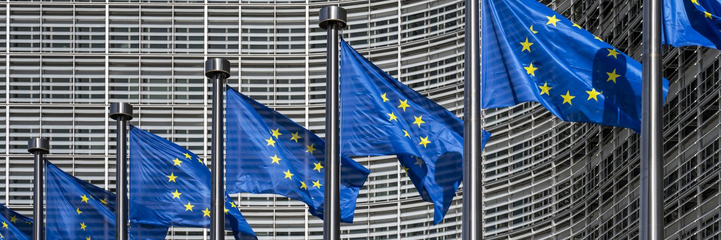 Drapeaux de l’Union européenne devant un bâtiment.