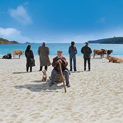 Pessoas e vacas em uma praia de areia com vista para o oceano azul.