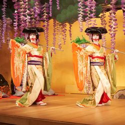 Dois artistas tradicionais japoneses, vestidos com quimonos, fazem uma apresentação sob glicínias.