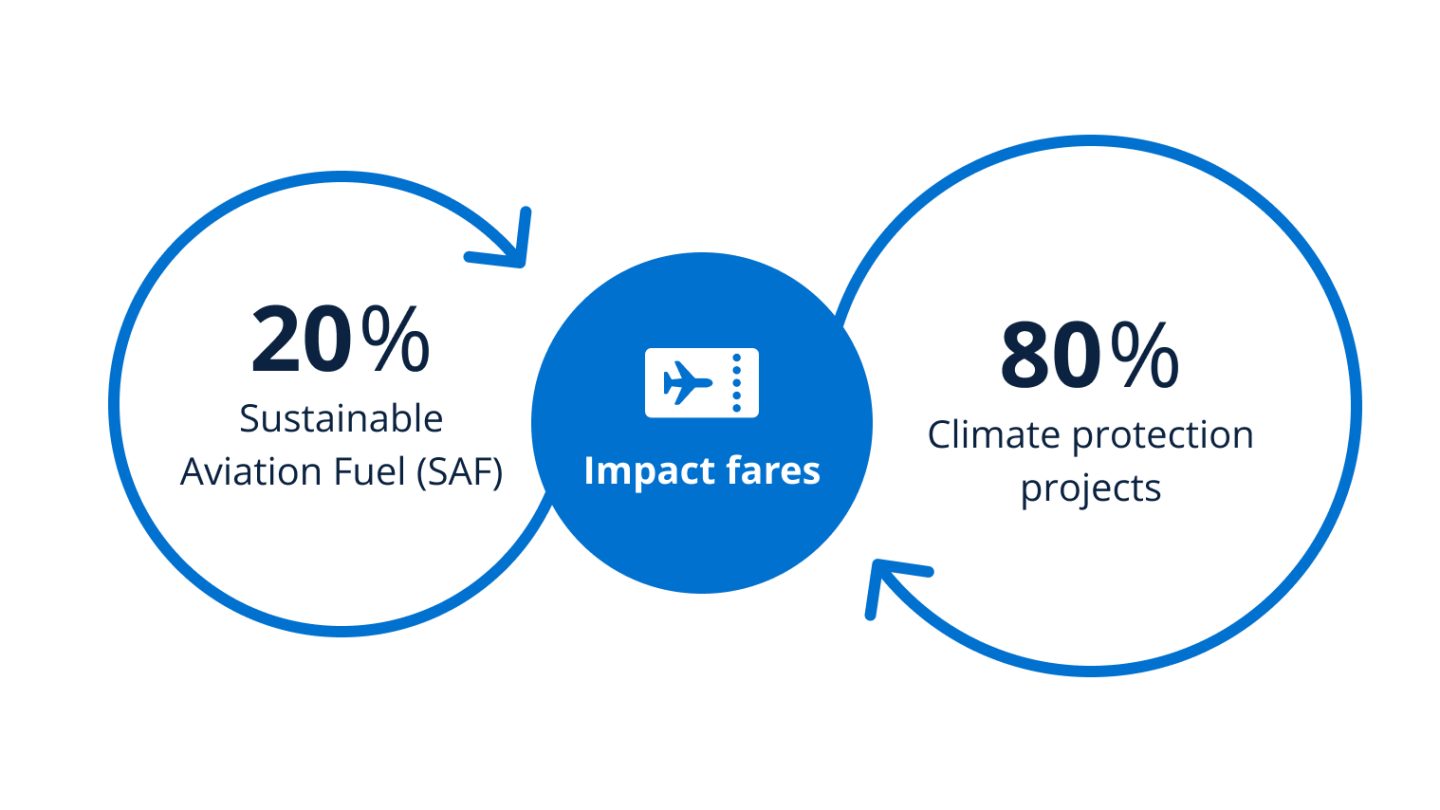 Chart illustrating the different stages of a green energy project.